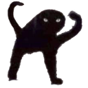 :grr_cat: